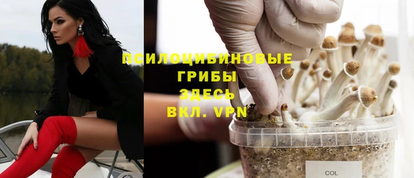 mdpv Туринск