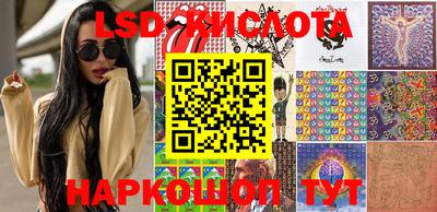 крисы Гагарин