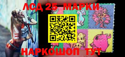 бошки Гатчина