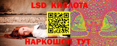 крисы Гагарин