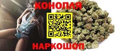 крисы Гагарин