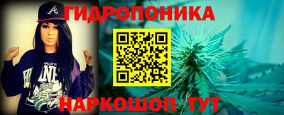 сатива Гай