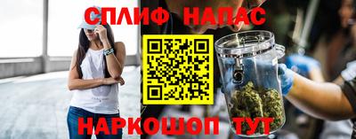 сатива Гай