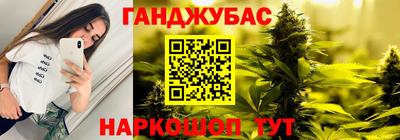 сатива Гай