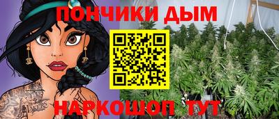 сатива Гай