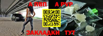 сатива Гай