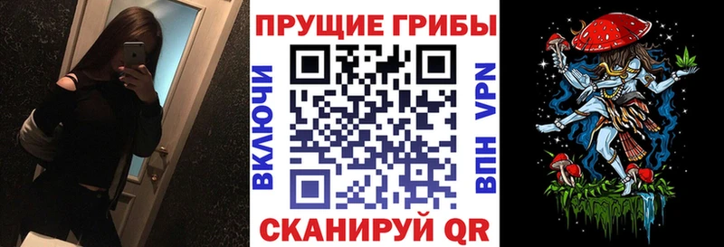 продажа наркотиков  Таганрог  Галлюциногенные грибы мицелий 